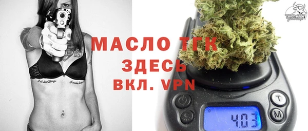 твердый Богданович