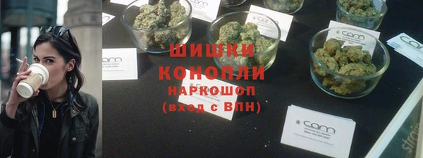 сатива Богородицк