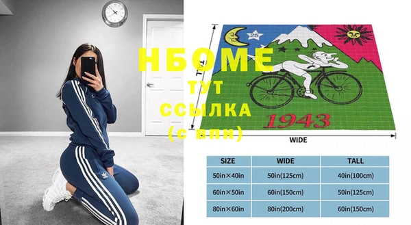 сатива Богородицк