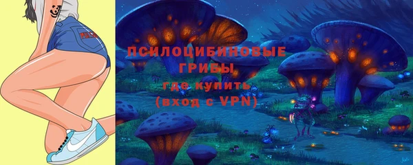 твердый Богданович