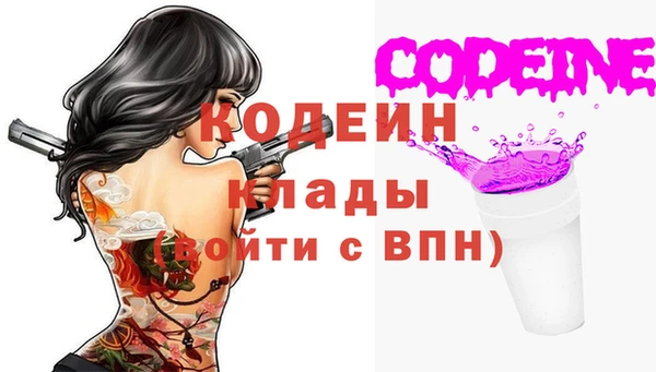 твердый Богданович